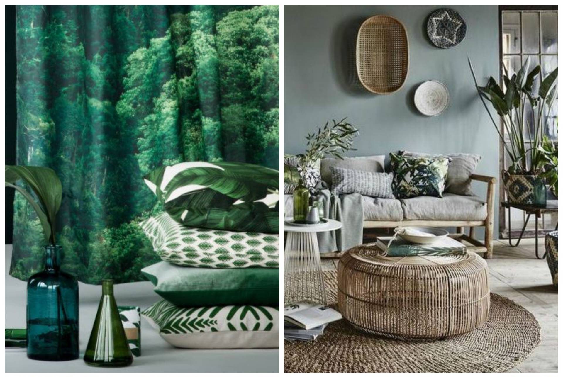 deco tendance tropicale