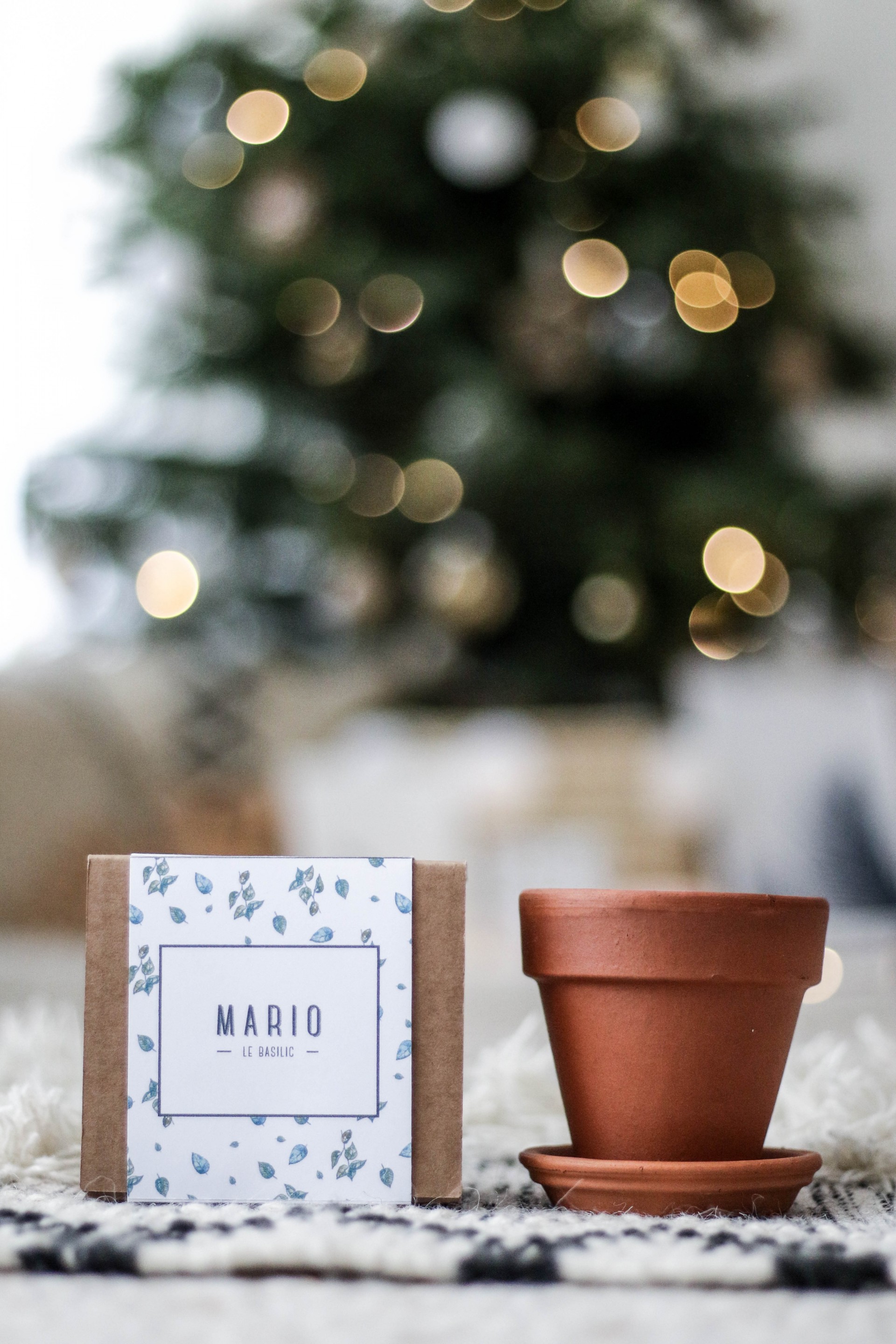 blog-mode-idee-cadeau-noel-kit-plante