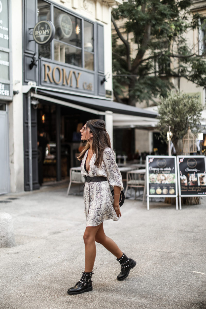 Passion python | Junesixtyfive