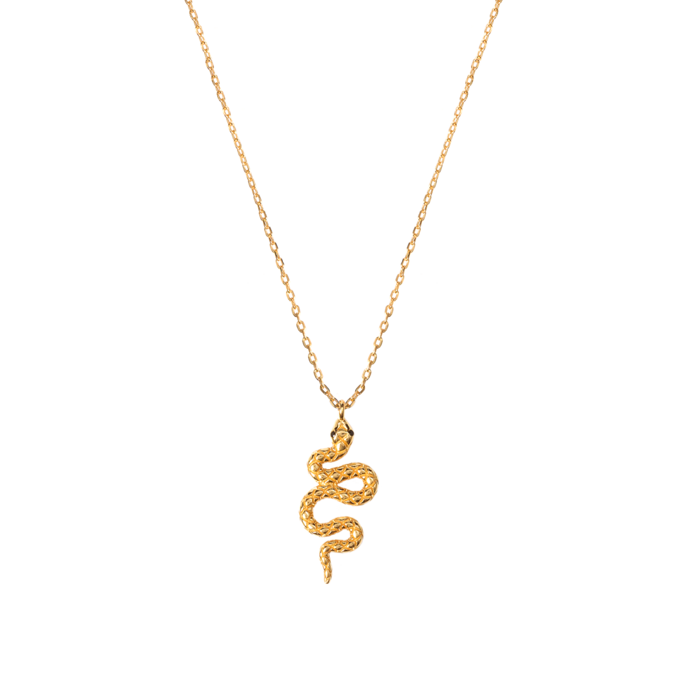 Tendance Ete 2020 Fashion Blog Mode Bijoux Jewelry Aleyole Necklace Collier Or Gold Anaconda Snake Pendantif